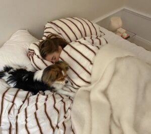 꿀잠 자는 방법 불면증 해결 방법