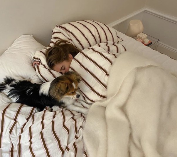 꿀잠 자는 방법 불면증 해결 방법